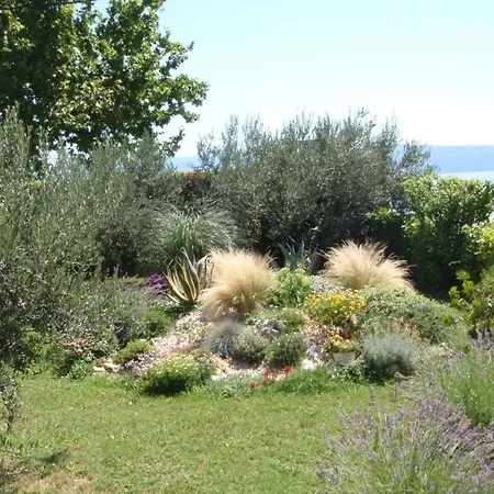 Vendégház Jure With Sea View